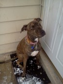 Lucy Lucy