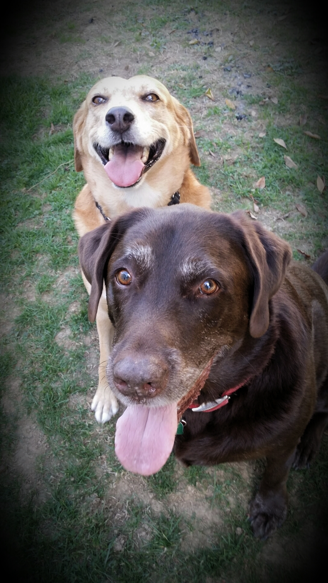 Rosie & Chase Rosie & Chase